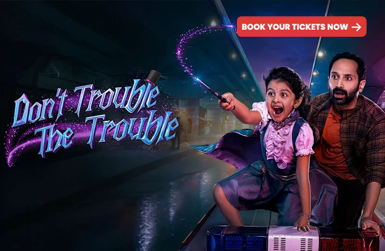 Dont Trouble The Trouble